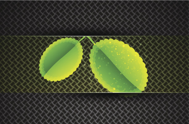 碳背景下的叶子图片下载