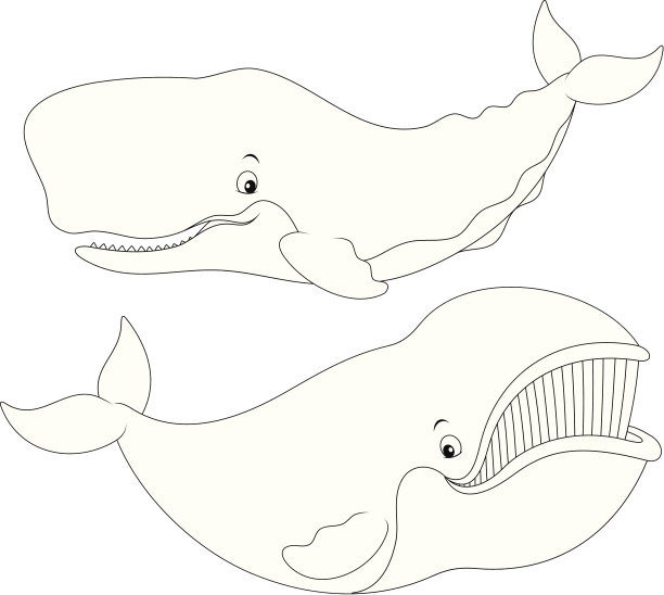 鲸鱼图片下载