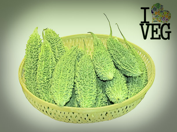 苦瓜，苦瓜，蔬菜，概念图片下载