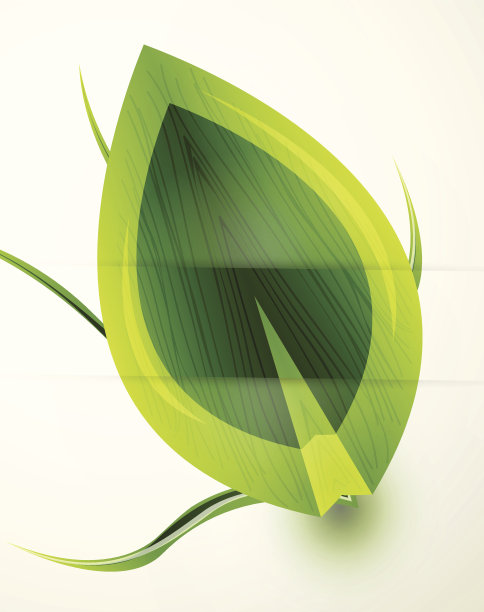 夏天的叶子和草绿油油的向量图片下载