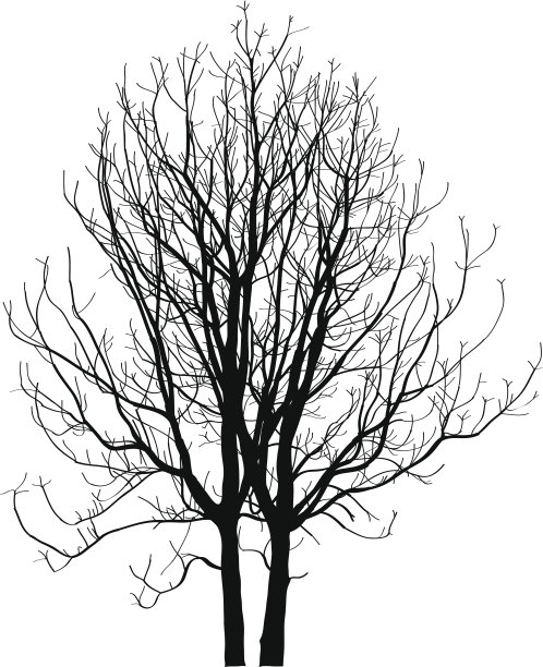 死树没有叶子矢量插图草图。图片下载