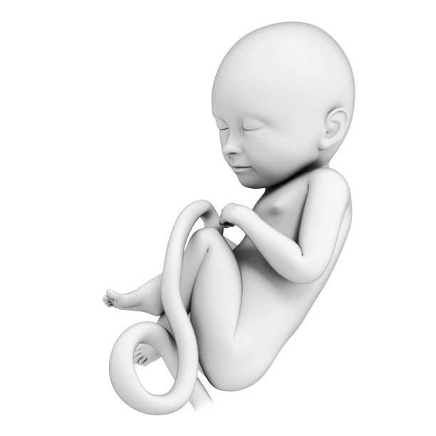 胎儿月8图片下载