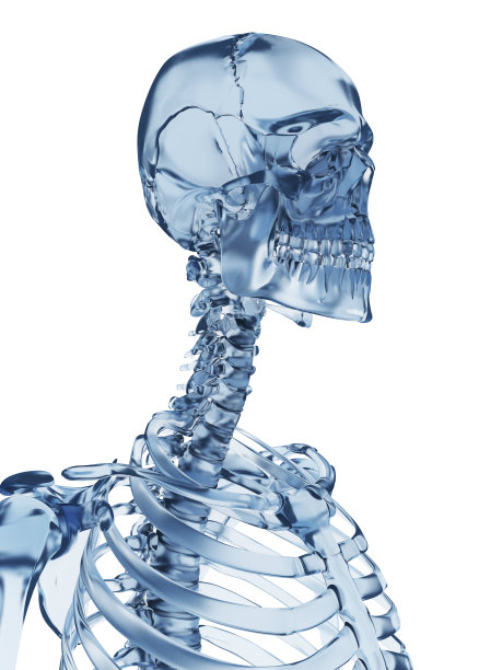 玻璃骨架颈图片下载