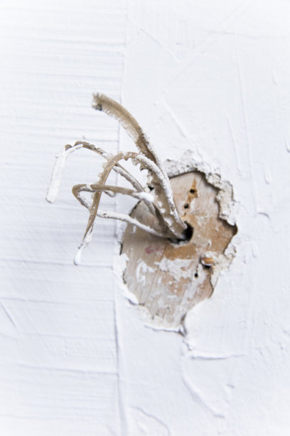 墙上有电线图片下载