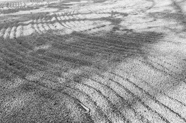 日式花园图片下载