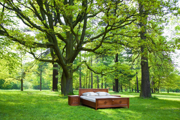 床在森林-良好睡眠的概念图片下载