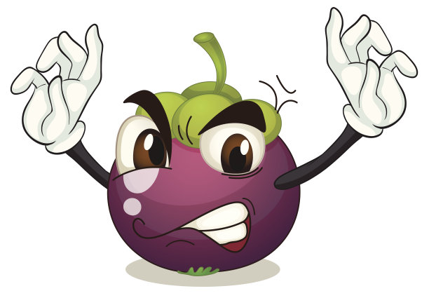 山竹果图片下载