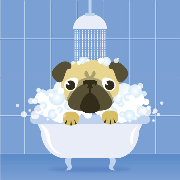 帕格在浴室里图片下载