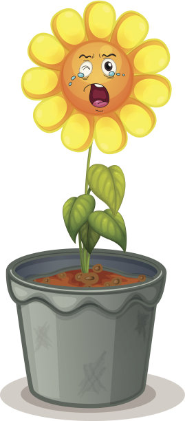 花盆里的花图片下载