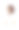 女医生微笑着——在白色的背景下被孤立图片下载