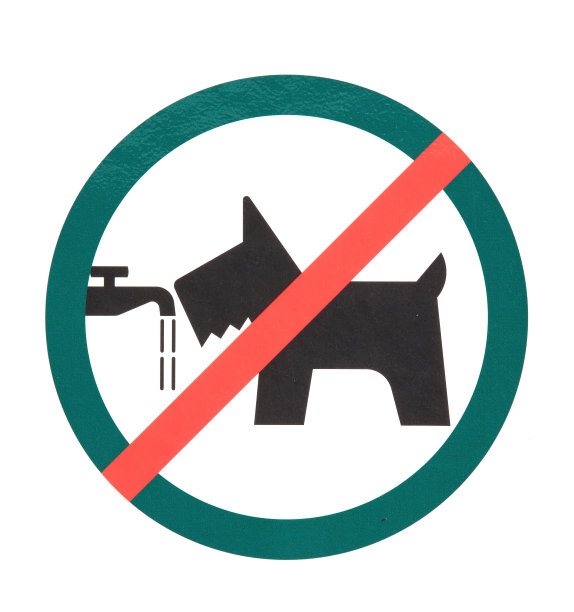 招牌上不准带狗图片下载
