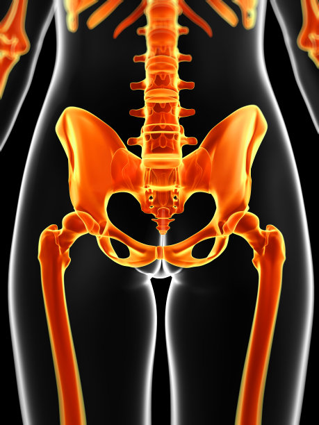 女性-橙色骨架图片下载