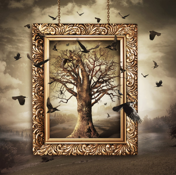 魔法树与鸟类在框架图片下载