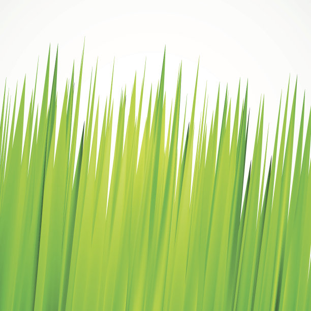 绿色背景，框架与现实的香草图片下载