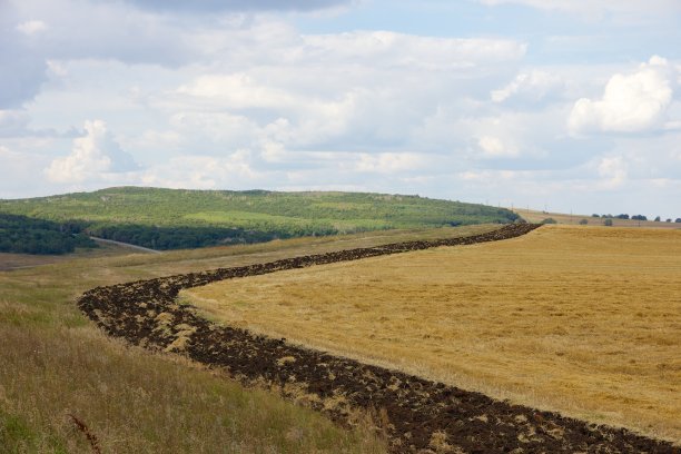 获得字段2图片下载