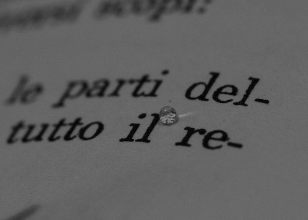 书的文本图片下载