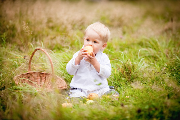 小男孩拿着篮子吃水果图片下载