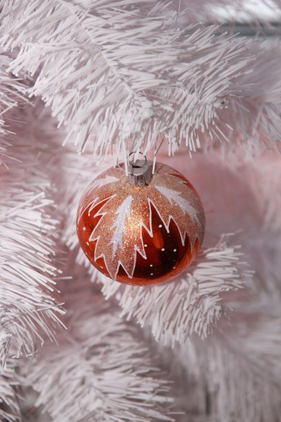 白树装饰图片下载