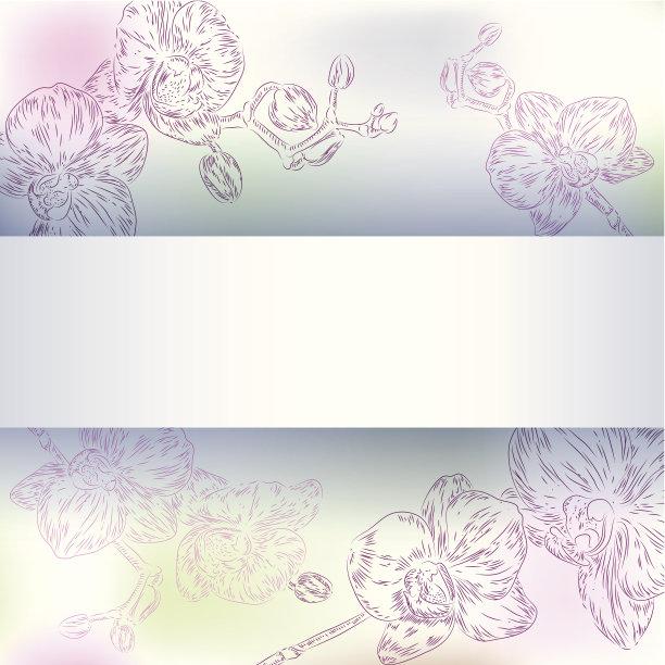 花兰背景图片下载