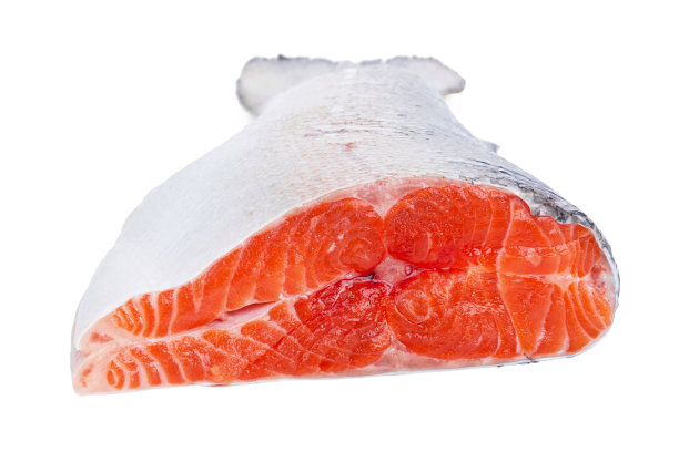 鳟鱼在白图片下载