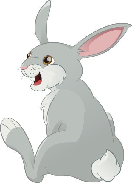 兔子图片下载