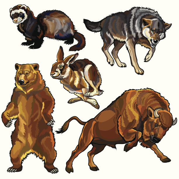 里面有欧洲的野生动物图片下载