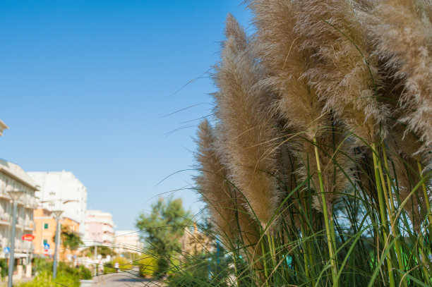 亚得里亚海图片下载