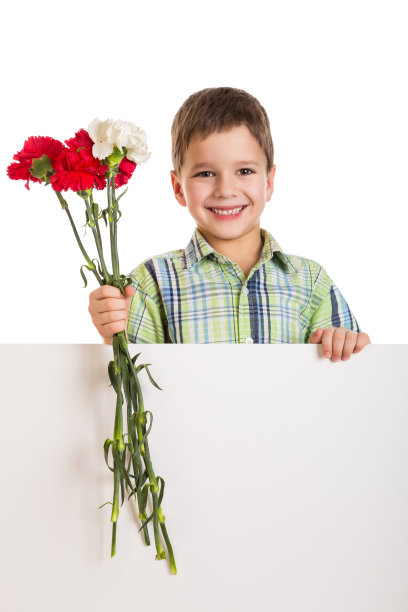 男孩与空白和康乃馨图片下载