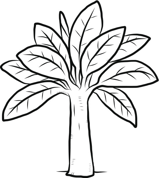 香蕉树图片下载