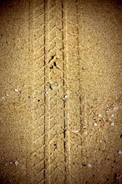 沙地上的轮胎印图片下载