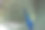 炫耀羽毛的孔雀图片下载