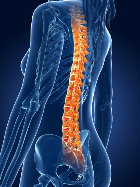 痛苦的脊柱图片下载