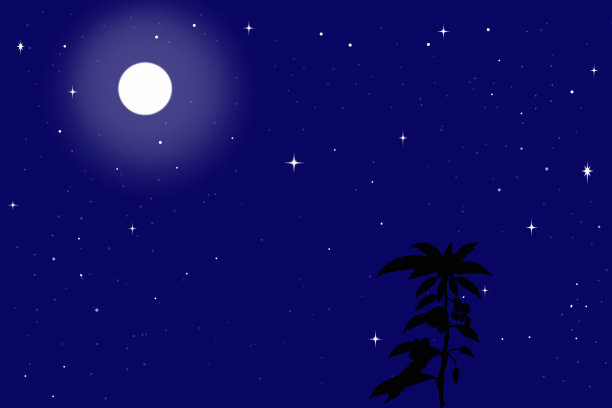 夜晚背景与星空图片下载