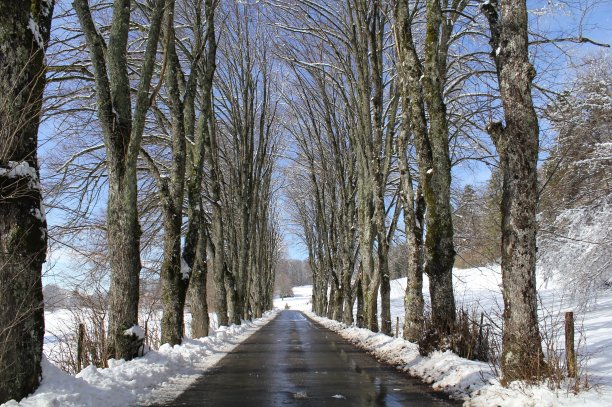 冬天的风景图片下载