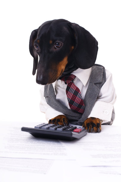 业务的狗图片下载