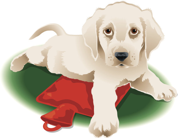 答案:C图片下载