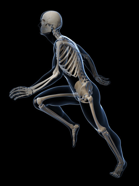 跑步者的骨架图片下载