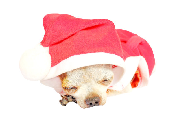 圣诞节装扮图片素材ID：108663436