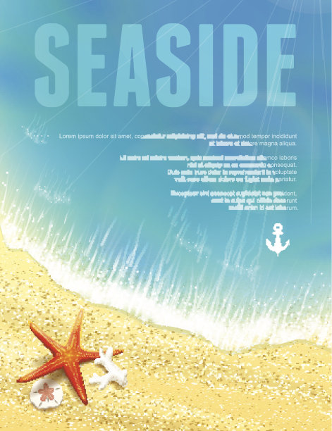 美丽的海景与海星。图片下载