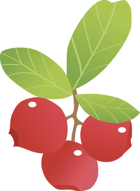 蔓越莓图片下载