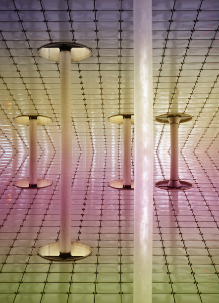 树冠文摘图片下载