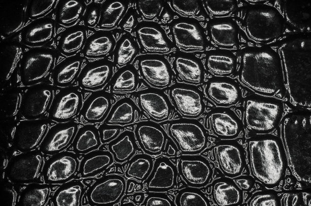 近景巴顿皮革纹理图片下载