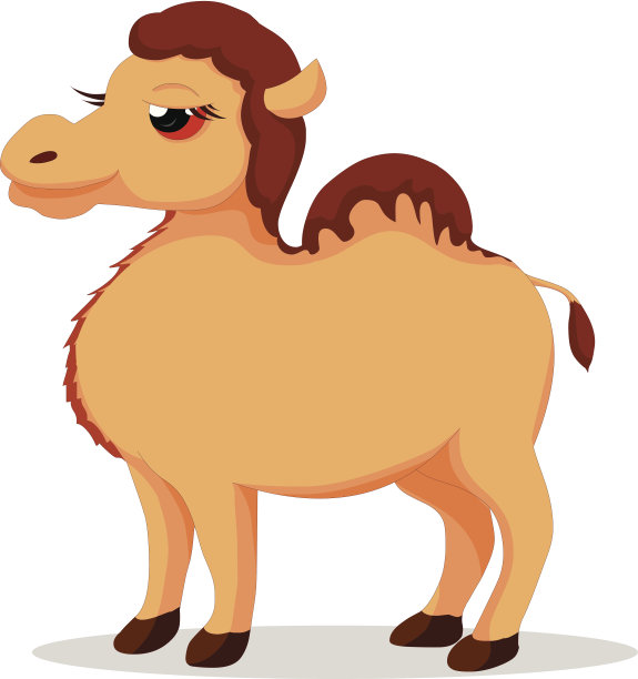 骆驼图片下载