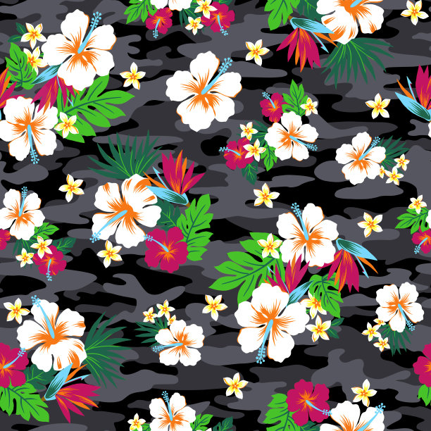 木槿重复图片下载