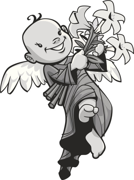 天使百合图片下载