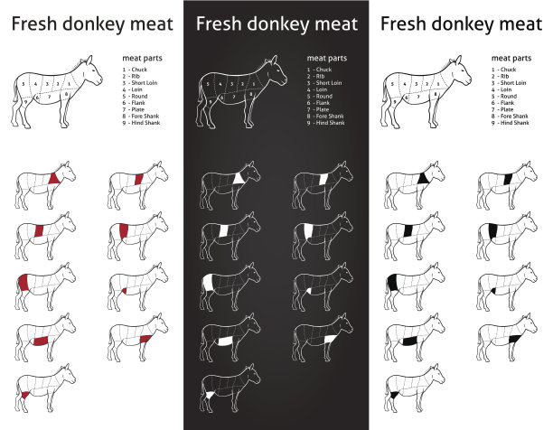 新鲜驴肉部分图片下载