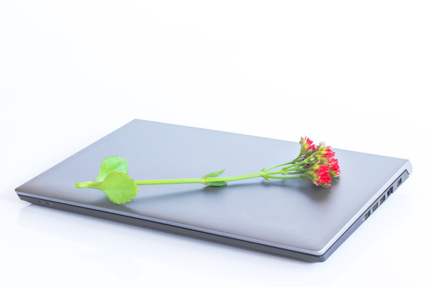 笔记本电脑上的花图片下载