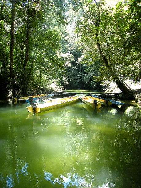 独木舟在美丽的绿色湖中图片下载