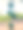 挂在树上的芒果。图片下载