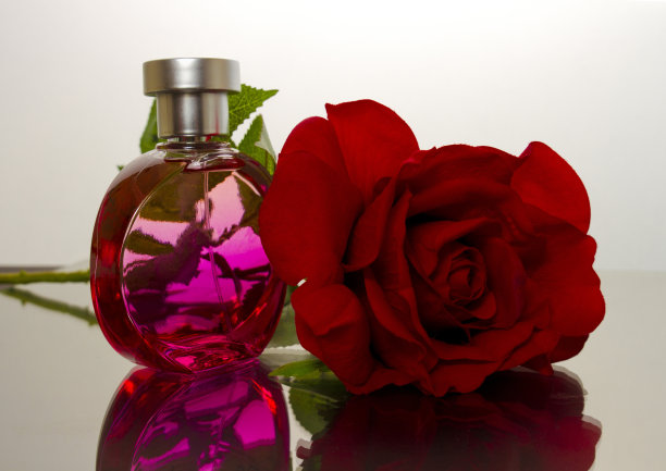 红玫瑰香图片下载